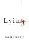 Lying Book Cover