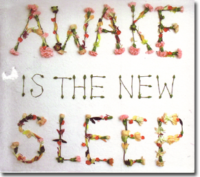 Ben Lee - Awake is the New Sleep
